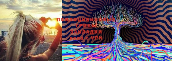 синтетический гашиш Бородино