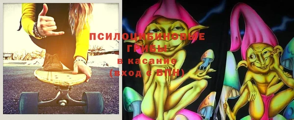a pvp Богородицк