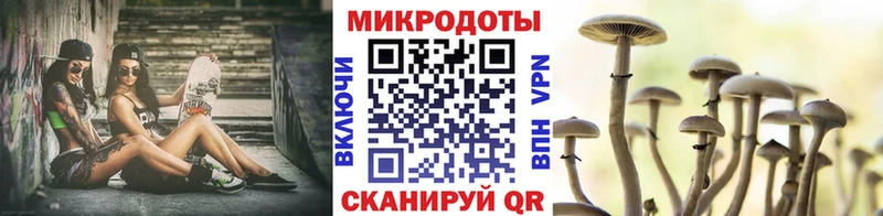 Галлюциногенные грибы Psilocybine cubensis  Гаврилов-Ям 